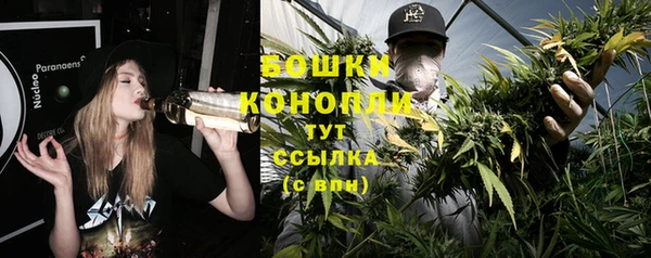 винт Абаза