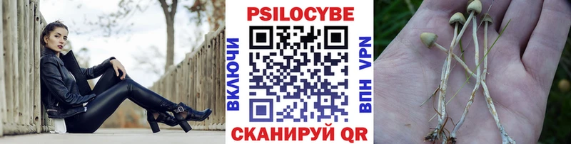 Галлюциногенные грибы Psilocybine cubensis дарнет шоп Чекалин